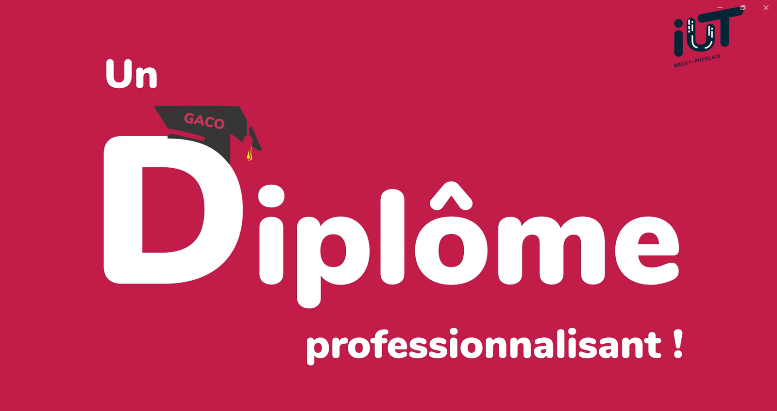 Présentation BUT